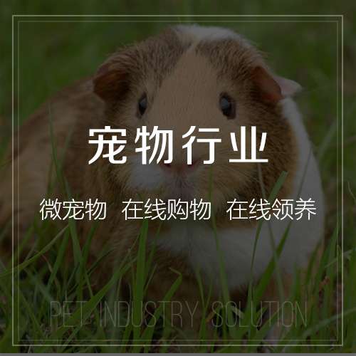 海南藏族宠物